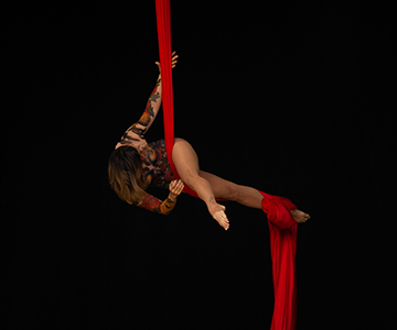 🎪 Circus Show